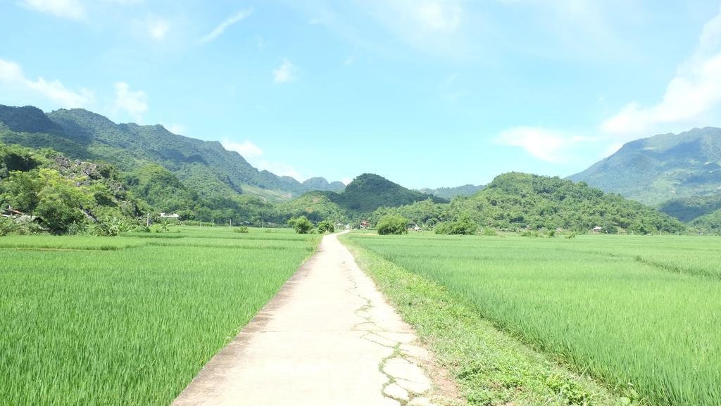 麦洲乡村民宿 枚州县 外观 照片